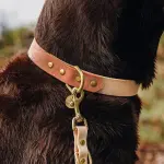 Hundehalsband Outdoor FLEX - Wasserfest - Mocca/Mousse