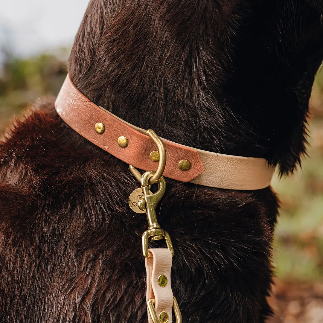 hey-lana-hundehalsband-outdoor-sport-mocca-mousse-detail Hundehalsband Outdoor FLEX - Wasserfest - Mocca/Mousse – Bild 1