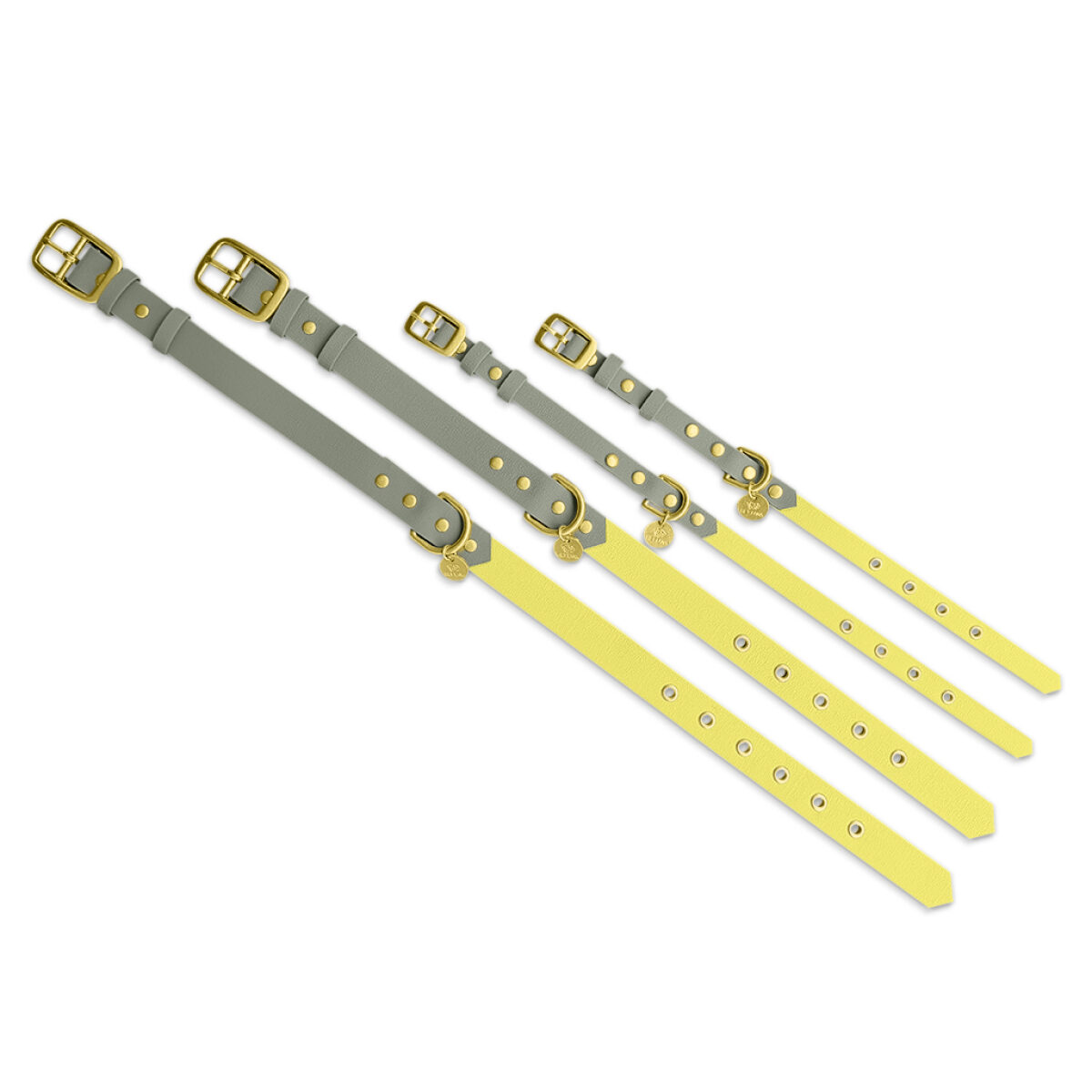 Dog collar Outdoor FLEX - Waterproof - Lemon/Seagrass - Image 5