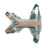 Premium Padded Dog Harness - Sunset/Eucalyptus - Image 5