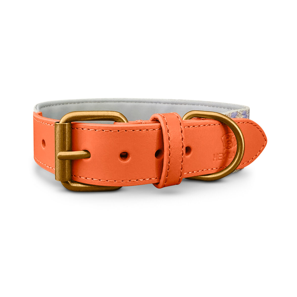 Premium padded dog collar - Sunset/Eucalyptus - Image 5