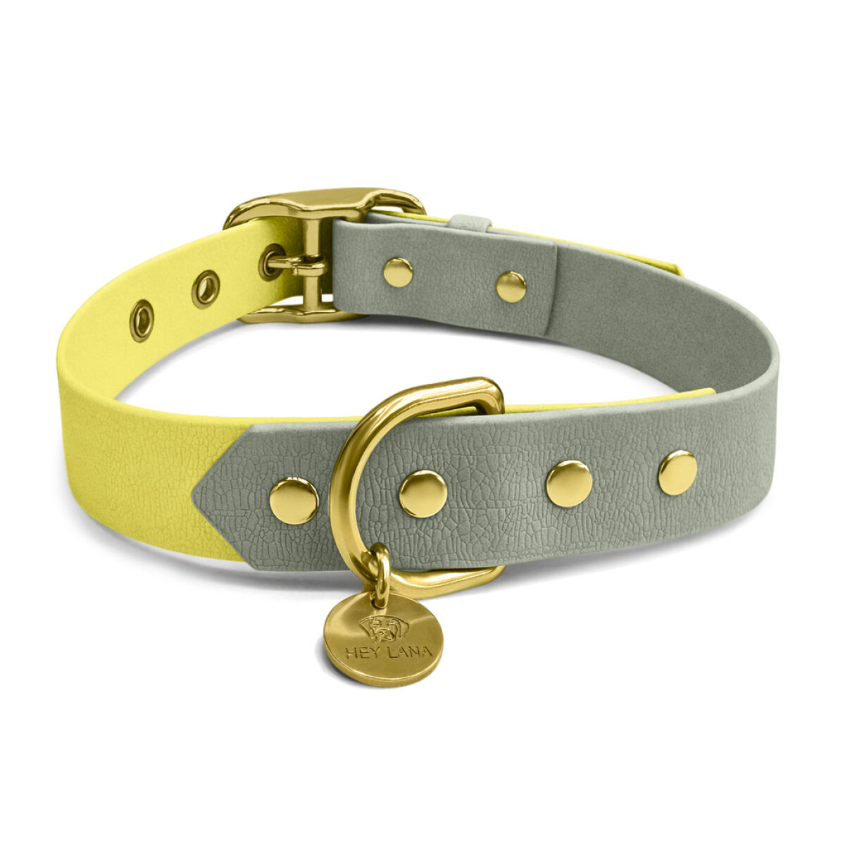 Outdoor Collection - Dog collar and lead set - Lemon/Seagrass - Image 6