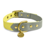 Outdoor Collection - Dog collar and lead set - Lemon/Seagrass - Image 6
