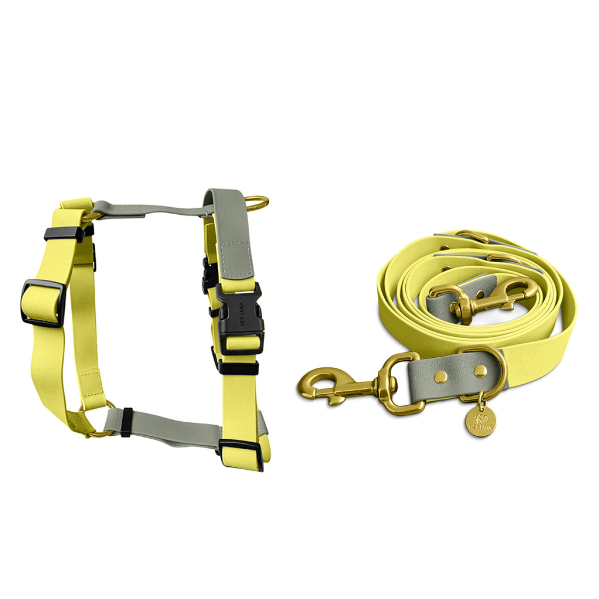 Outdoor Collection - Harness and lead set - Lemon/Seagrass - Image 2
