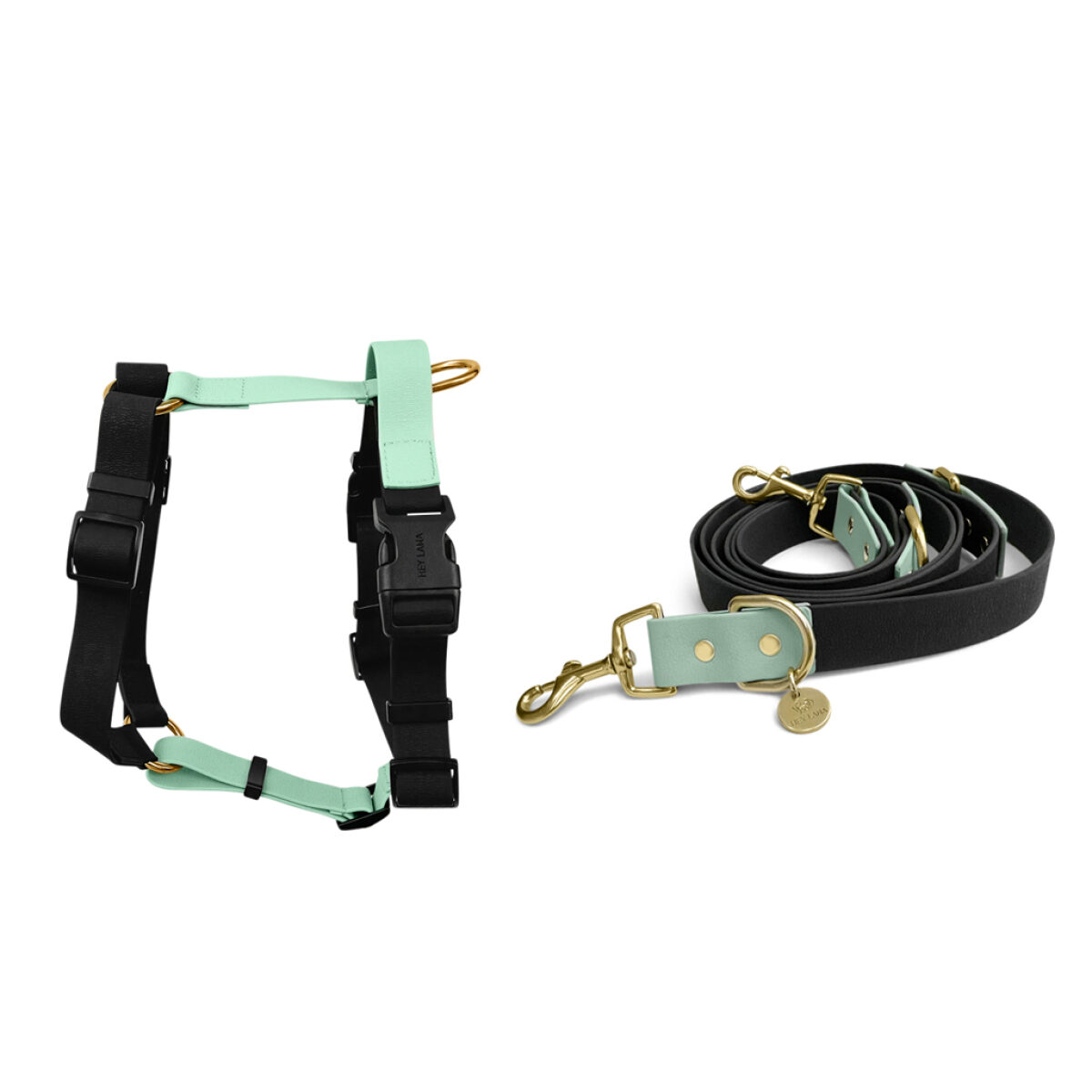Outdoor Collection - Harness and lead set - Black/Mint - Image 2
