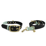 Outdoor Collection - Dog collar and lead set - Black/Mint - Image 2