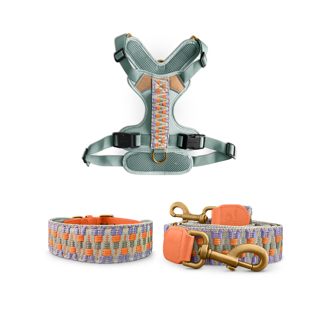 Tres-Chic-Set-Leine-Halsband-Geschirr-Sunset Très chic collection - Dog collar, lead and harness set - Sunset/Eucalyptus - Image 1