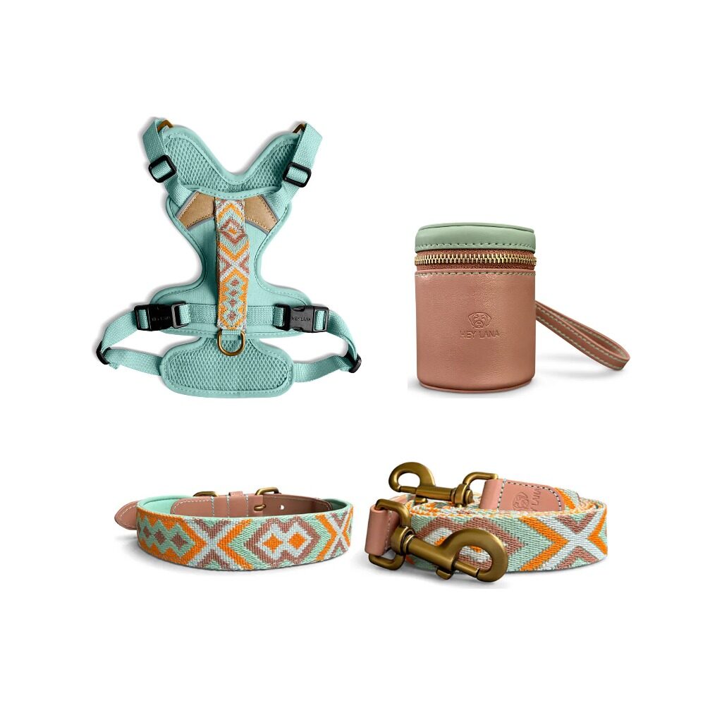Tres-Chic-Set-Leine-Halsband-Geschirr-Walk-Pouch-mint Très chic collection - Dog collar, lead, harness and Walk Pouch set - Mint/Orange - Image 1