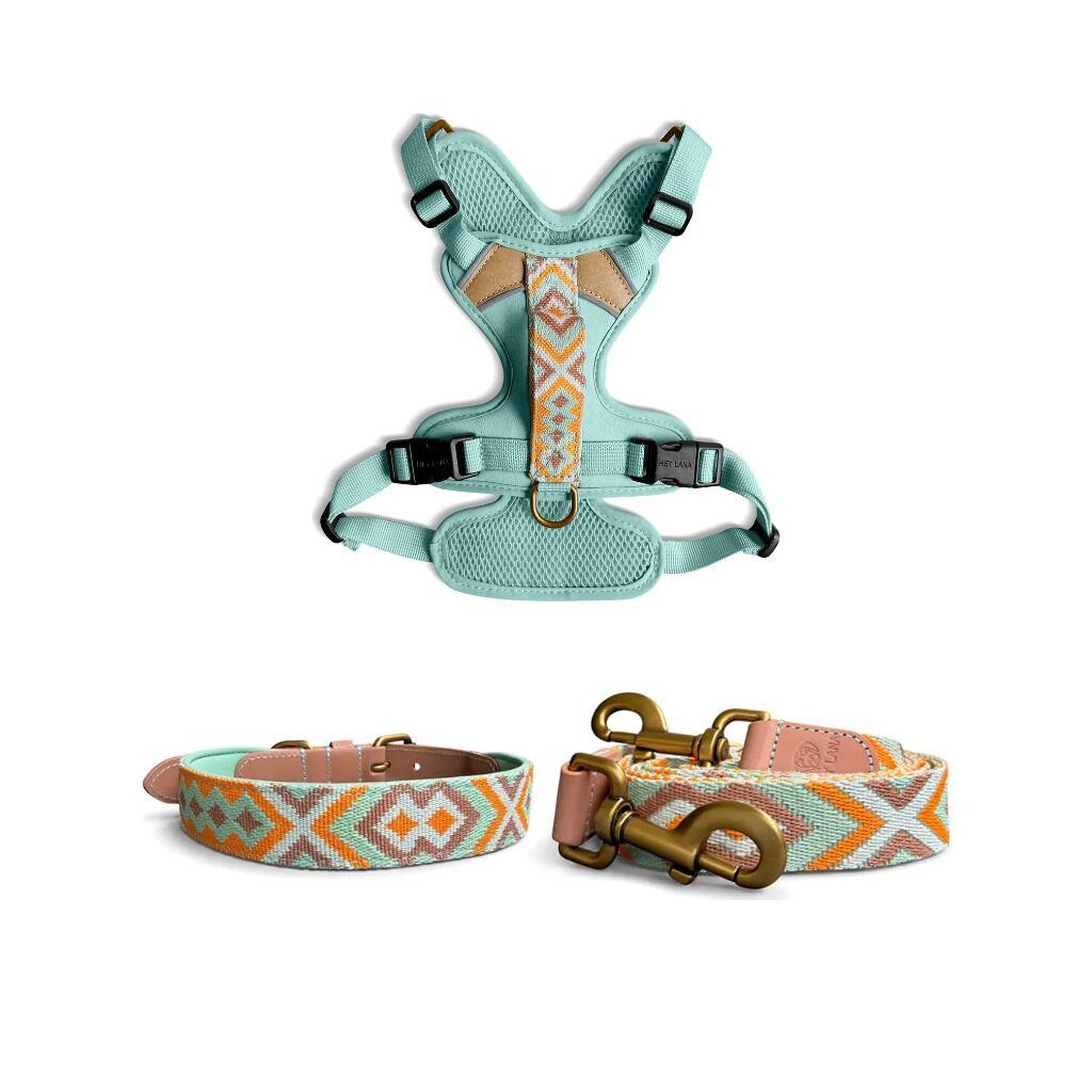 Tres-Chic Set—Leash, Collar, and Harness—Mint and Orange Très chic collection - Dog collar, lead and harness set - Mint/Orange - Image 1