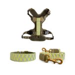 Kollektion Très chic – Set Hundehalsband, Leine und Geschirr – Olivgrün/Neongelb