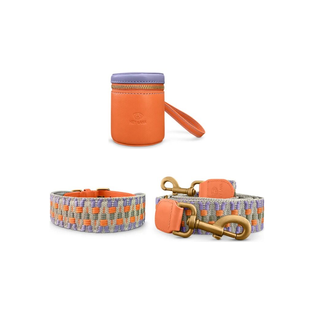Tres-Chic-Set-Leine-Halsband-Walk-Pouch-Sunset Très chic collection - Dog collar, lead and Walk Pouch set - Sunset/Eucalyptus - Image 1