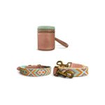 Très chic collection - Dog collar, lead and Walk Pouch set - Mint/Orange