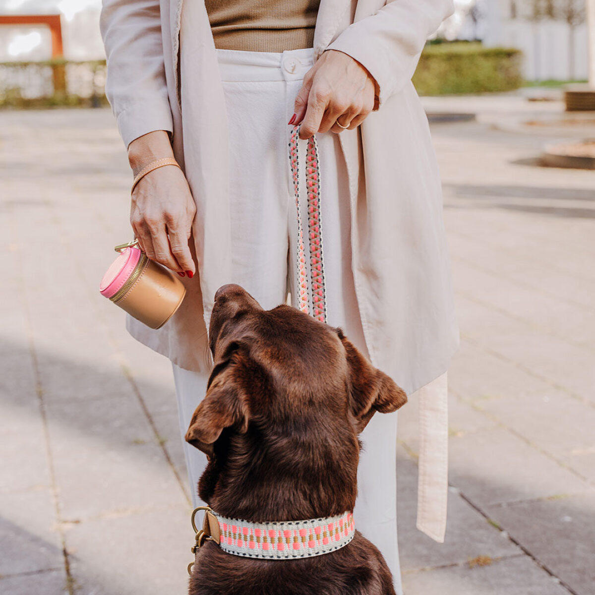 Walk Pouch 2-in-1 – Treat Pouch & Poop Bag Dispenser, Pink/Beige - Image 5