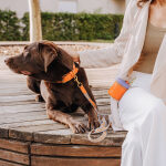 Walk Pouch 2-in-1 – Treat Pouch & Poop Bag Dispenser, Lavender/Sunset - Image 2