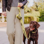 Walk Pouch 2 in 1 – Leckerlibeutel & Kotbeutelspender Oliv/Neongelb – Bild 4