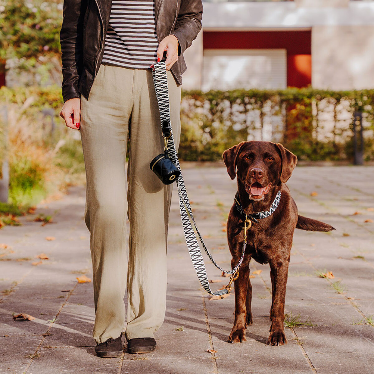 Walk Pouch 2-in-1 – Treat Pouch & Poop Bag Dispenser, Black - Image 2