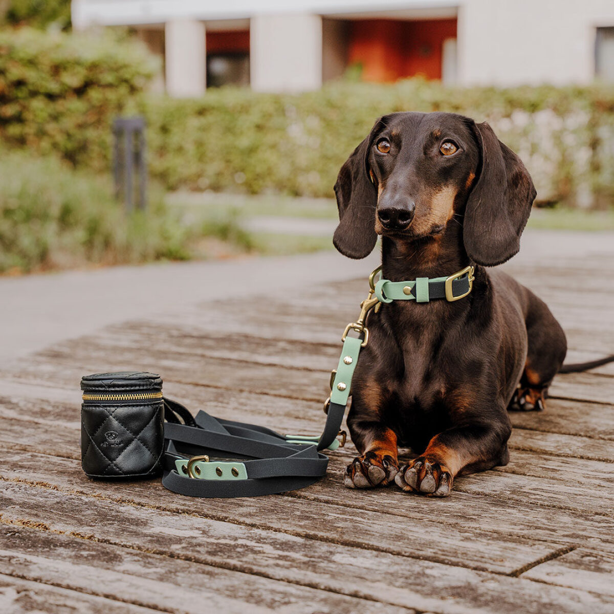 Walk Pouch 2-in-1 – Treat Pouch & Poop Bag Dispenser, Black - Image 4