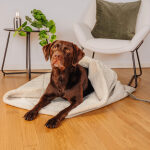The Snuggle Cave – Premium Dog Blanket with Cave – Sand/Beige