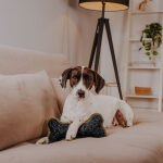 The Snuggle Bone – Premium Kuschelspielzeug – Bild 9