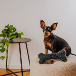 The Snuggle Bone – Premium Kuschelspielzeug – Bild 8