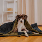 The Snuggle Set – Cave & Bone – Schwarz/Oliv