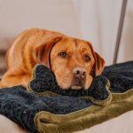 The Snuggle Bone – Premium Kuschelspielzeug – Bild 5