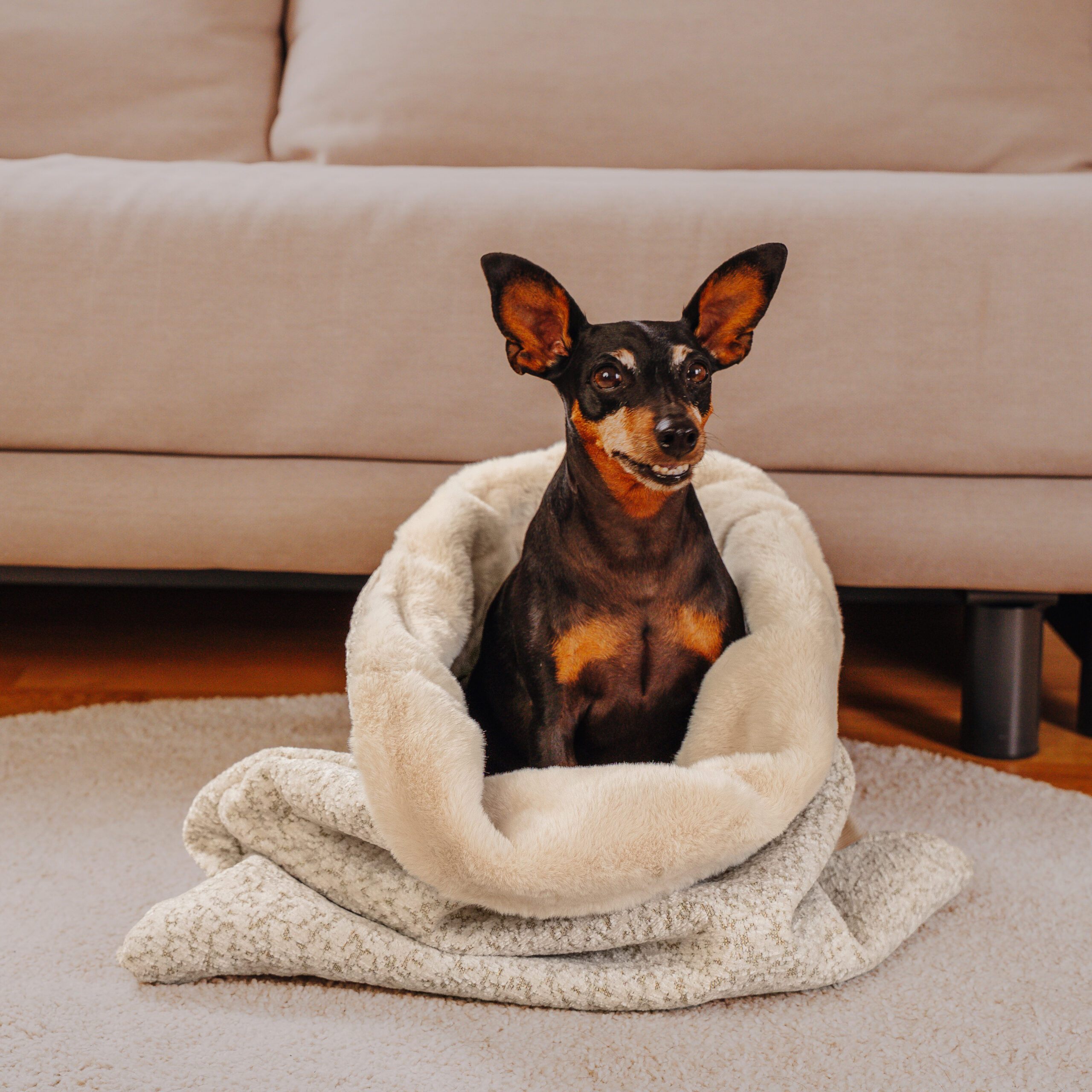 The Snuggle Cave – Premium Dog Blanket with Cave – Sand/Beige - Image 4